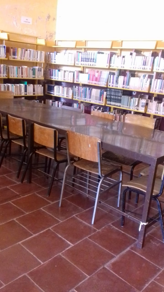 imagen3