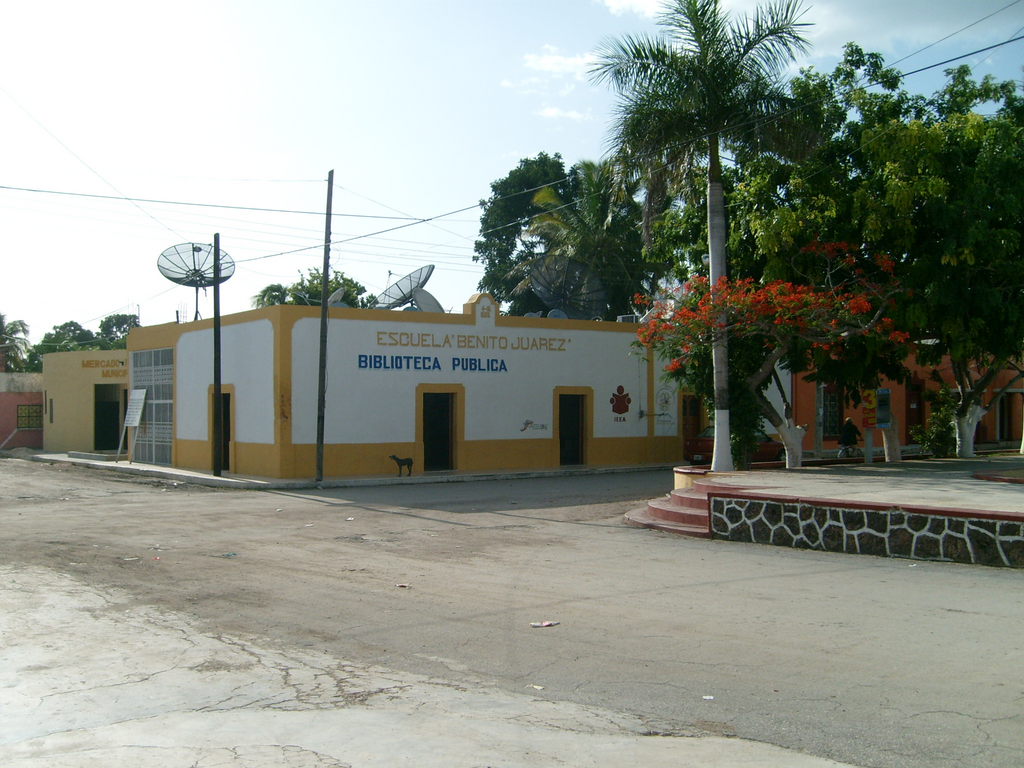 imagen1