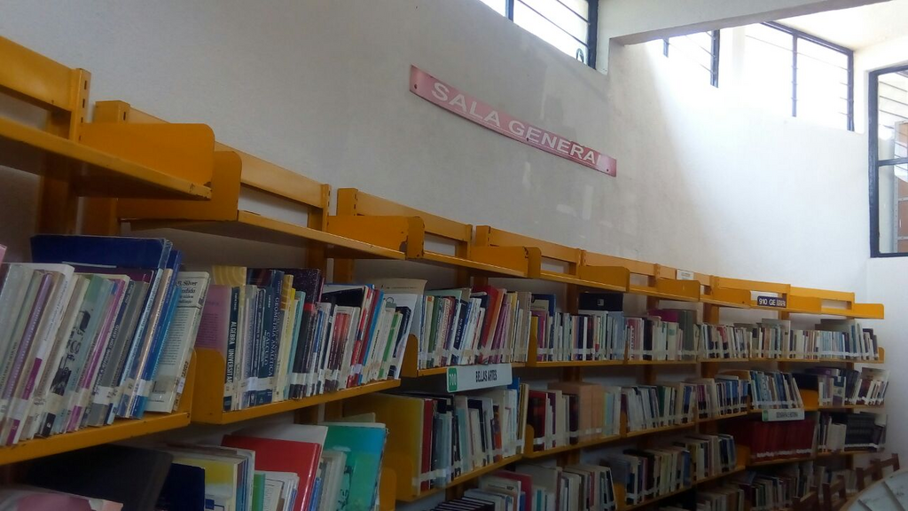 imagen2