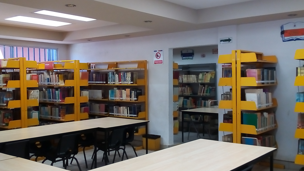 imagen1