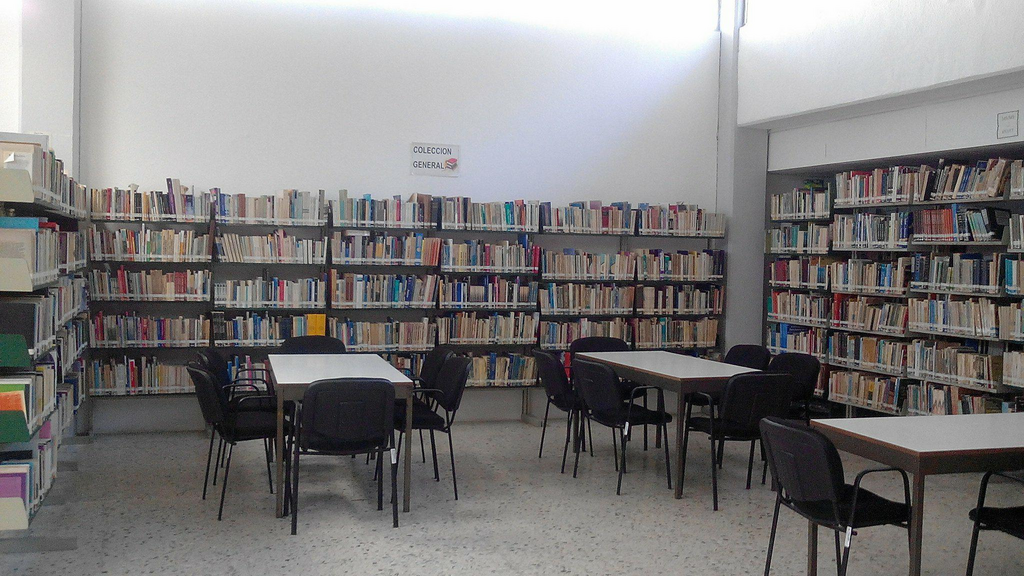imagen3
