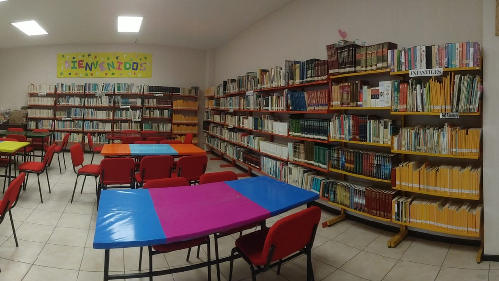 imagen1