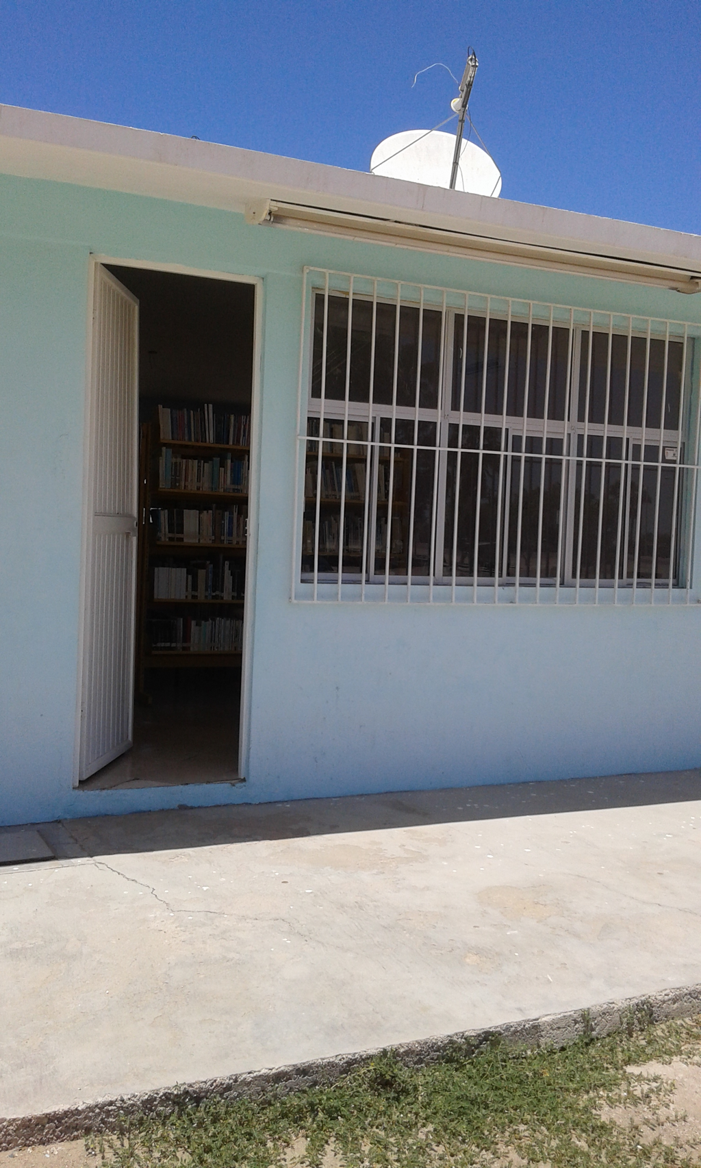 imagen2