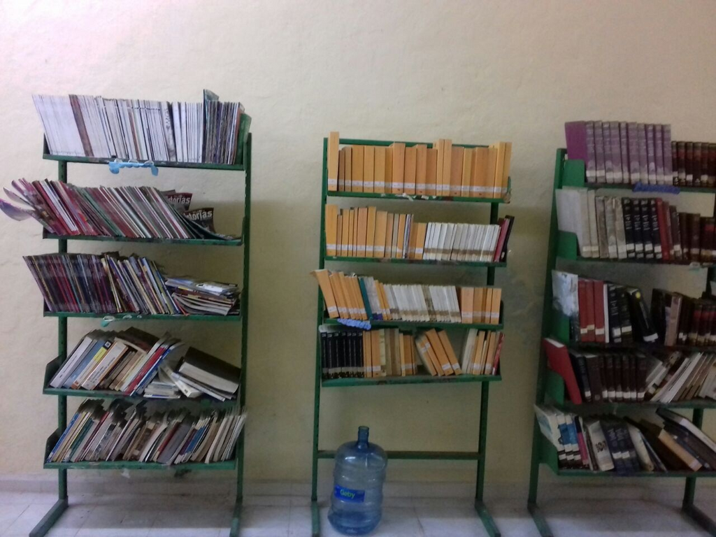 imagen0