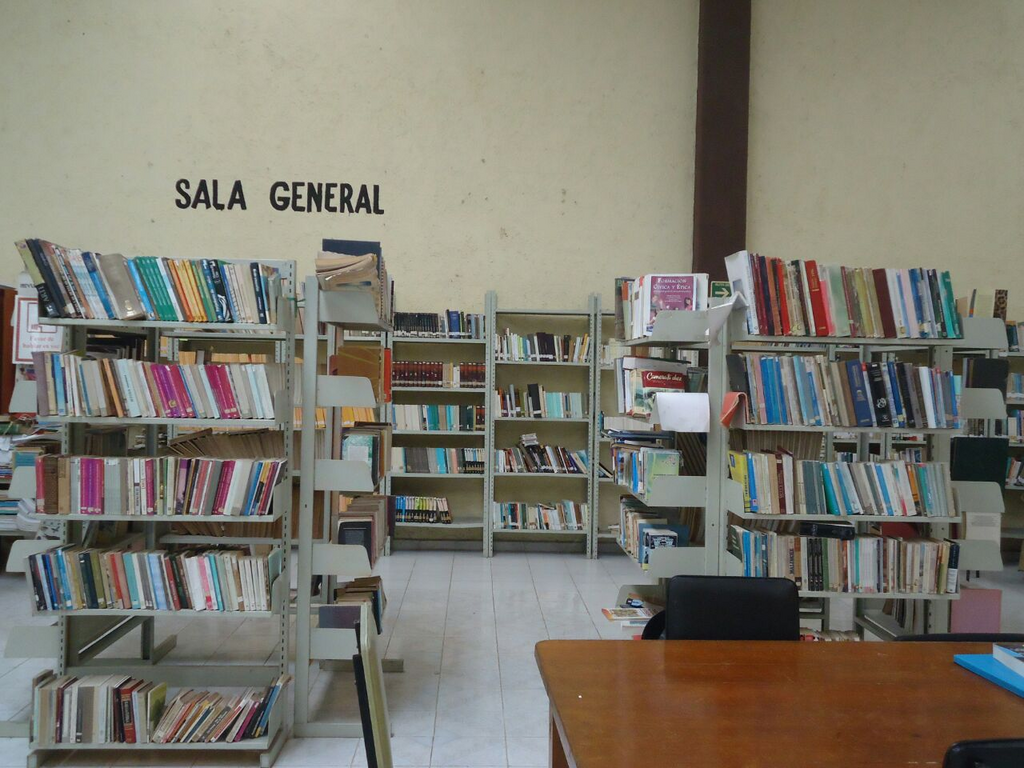 imagen3