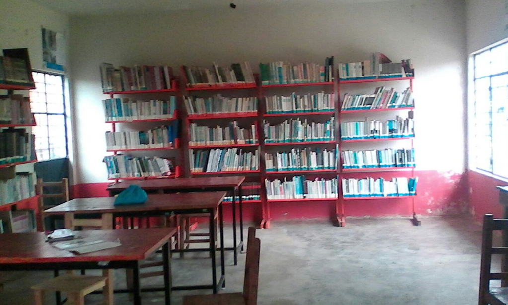 imagen1