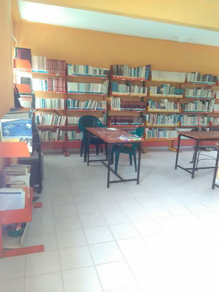 imagen3