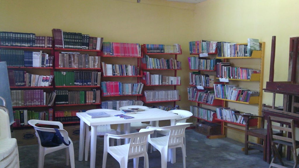 imagen2