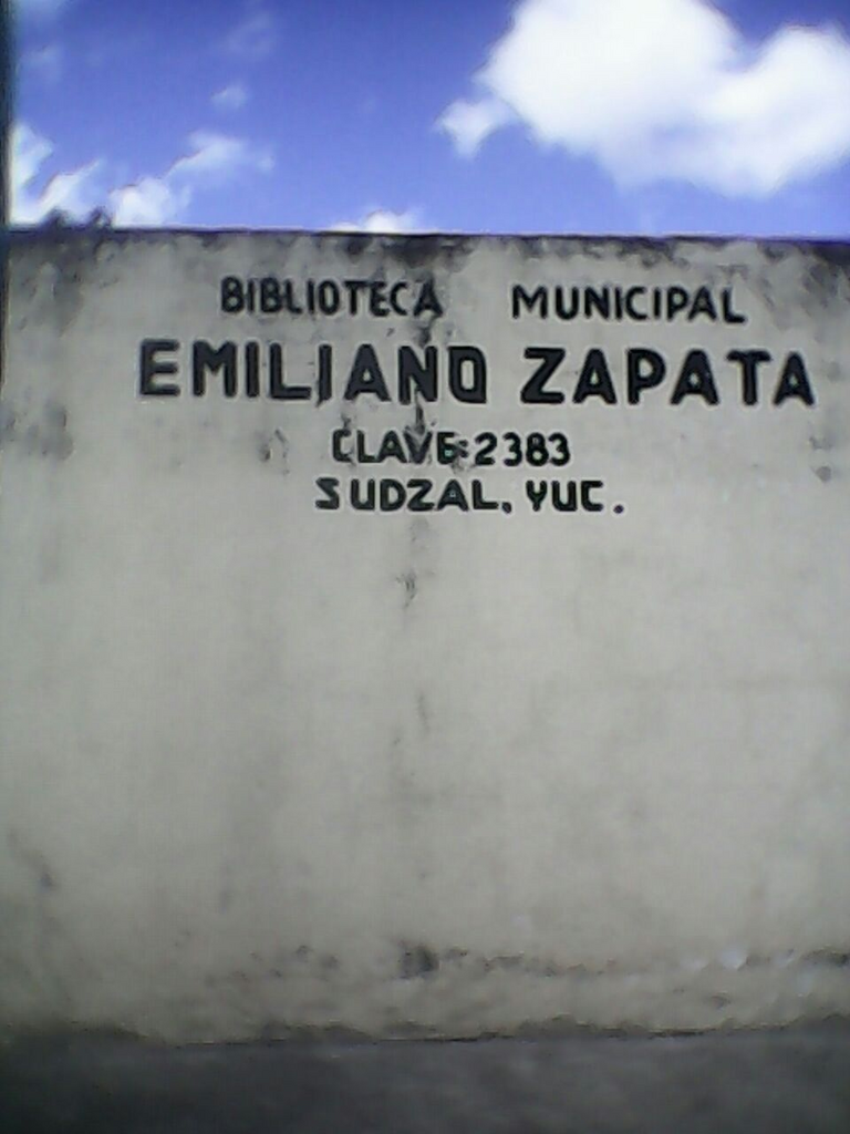 imagen1