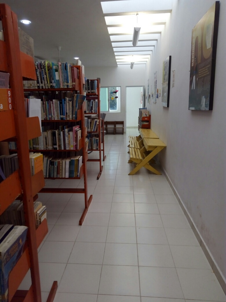 imagen3