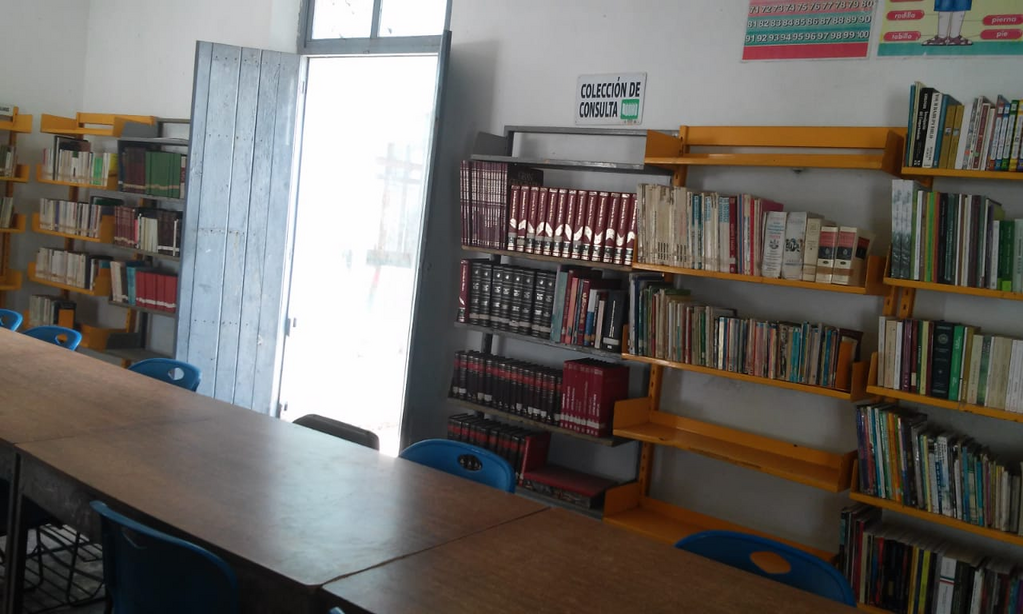 imagen1