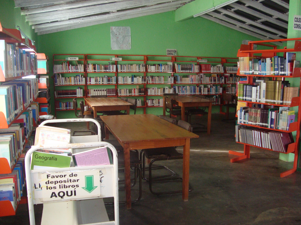 imagen1