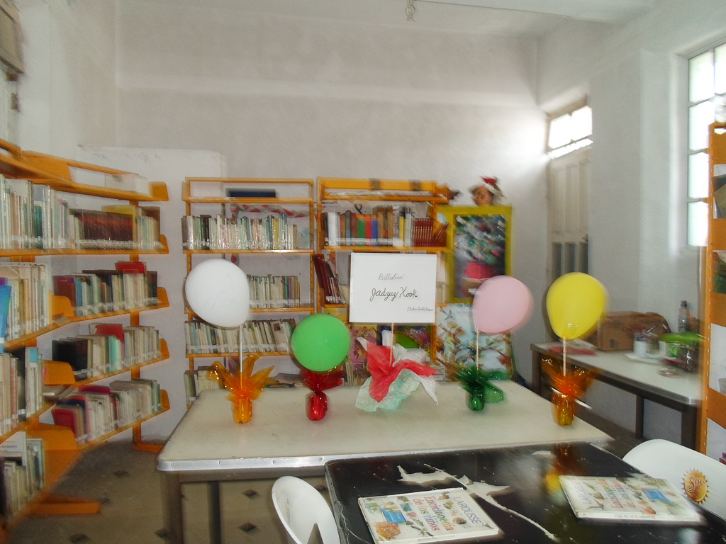 imagen1