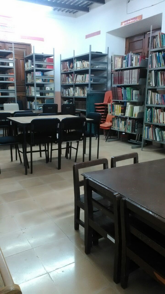 imagen3