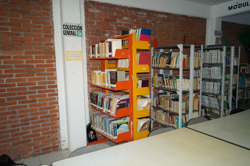 imagen3