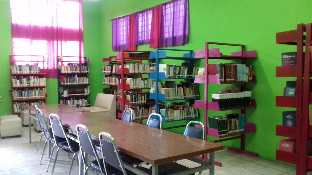 imagen1