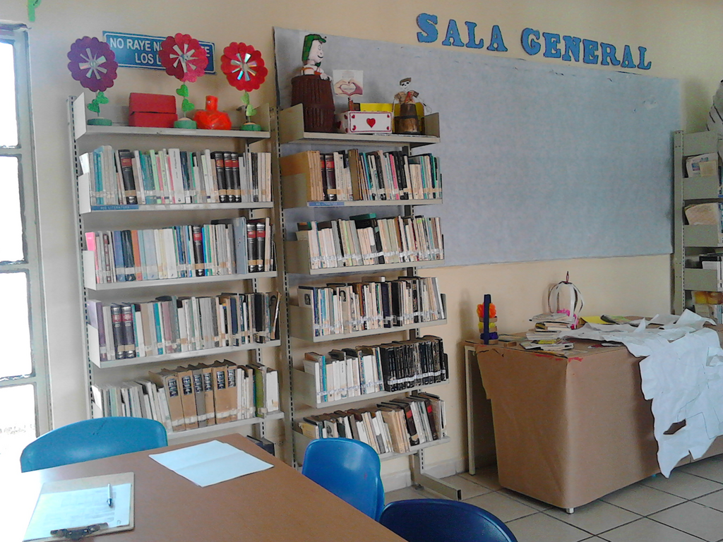 imagen1