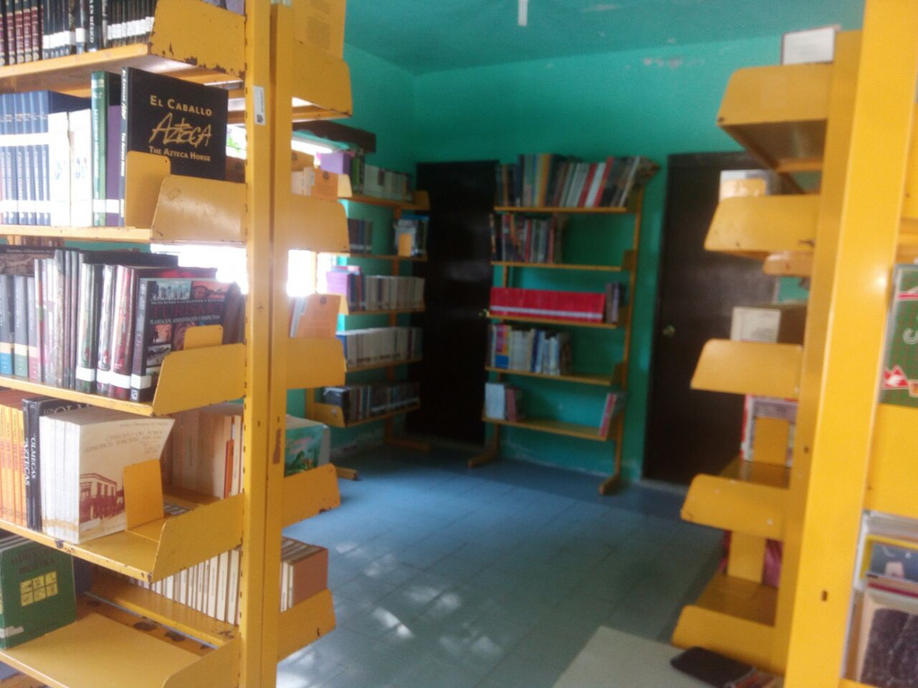 imagen1