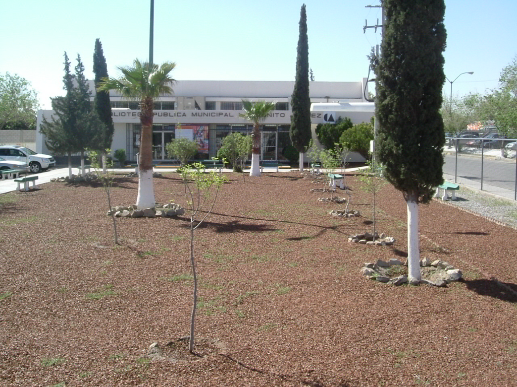 imagen2