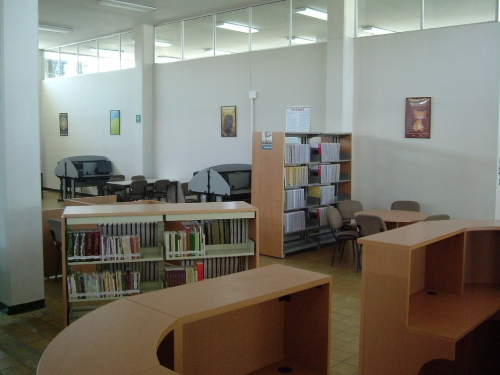 imagen1