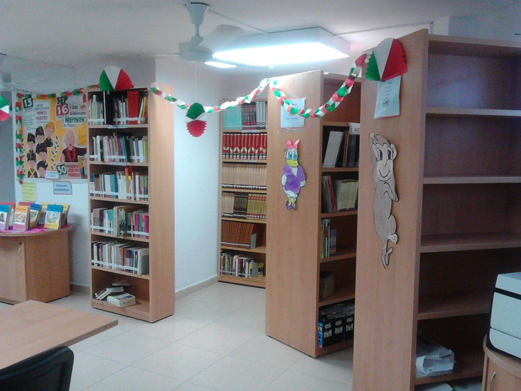 imagen1