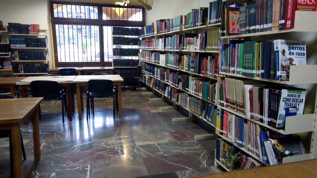 imagen2