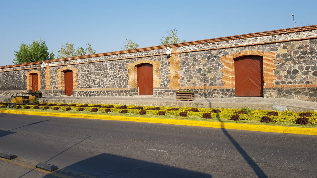 imagen3