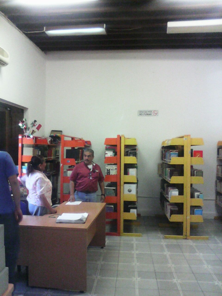 imagen3