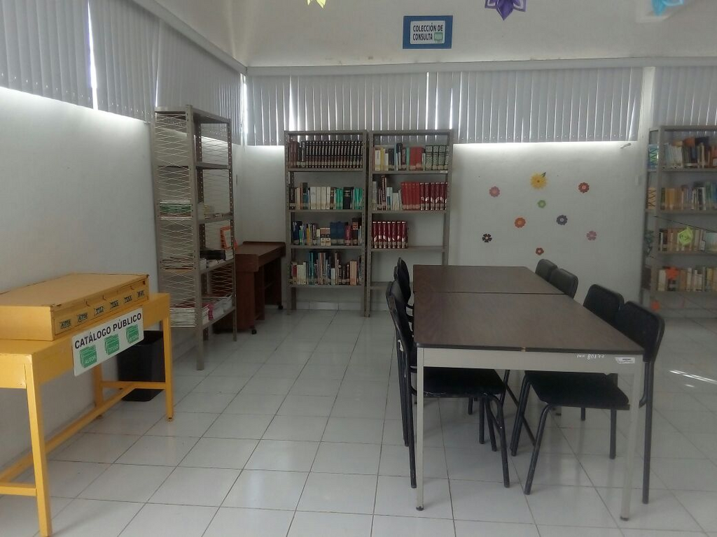 imagen1