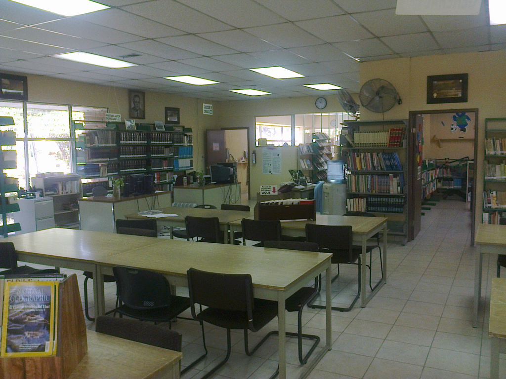 imagen3