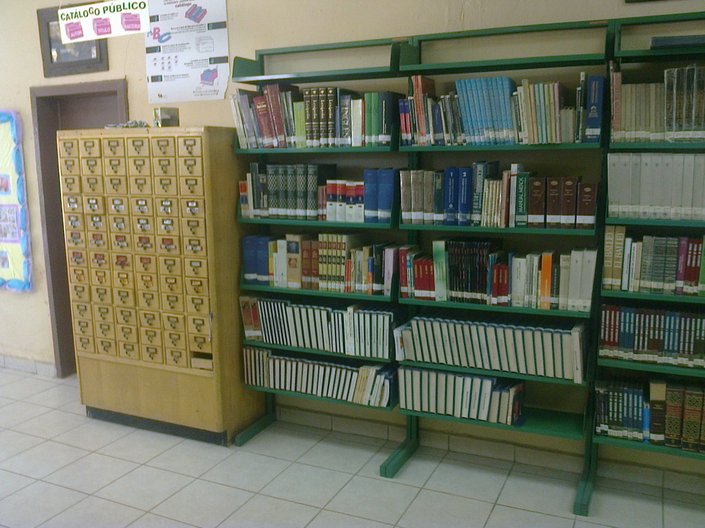 imagen1
