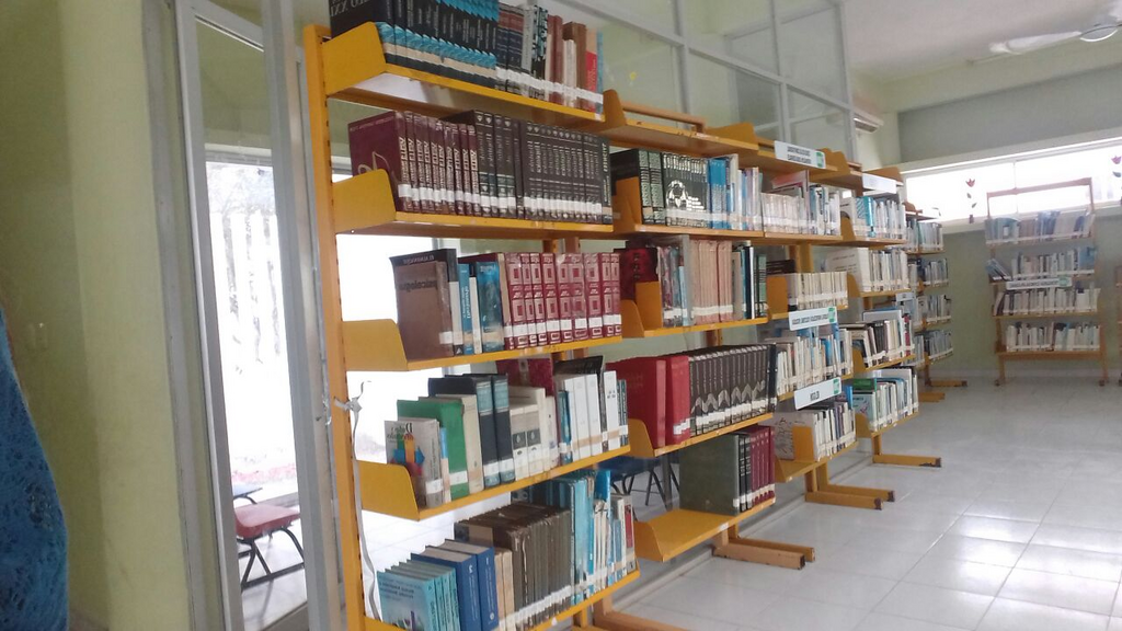 imagen2