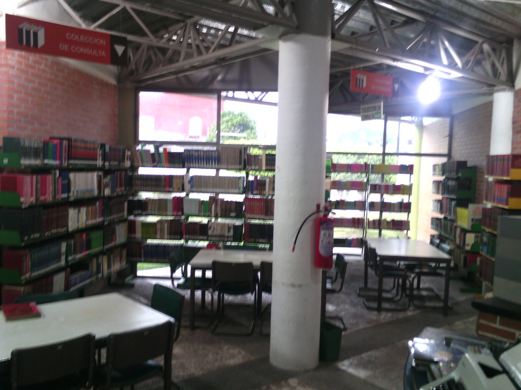 imagen1