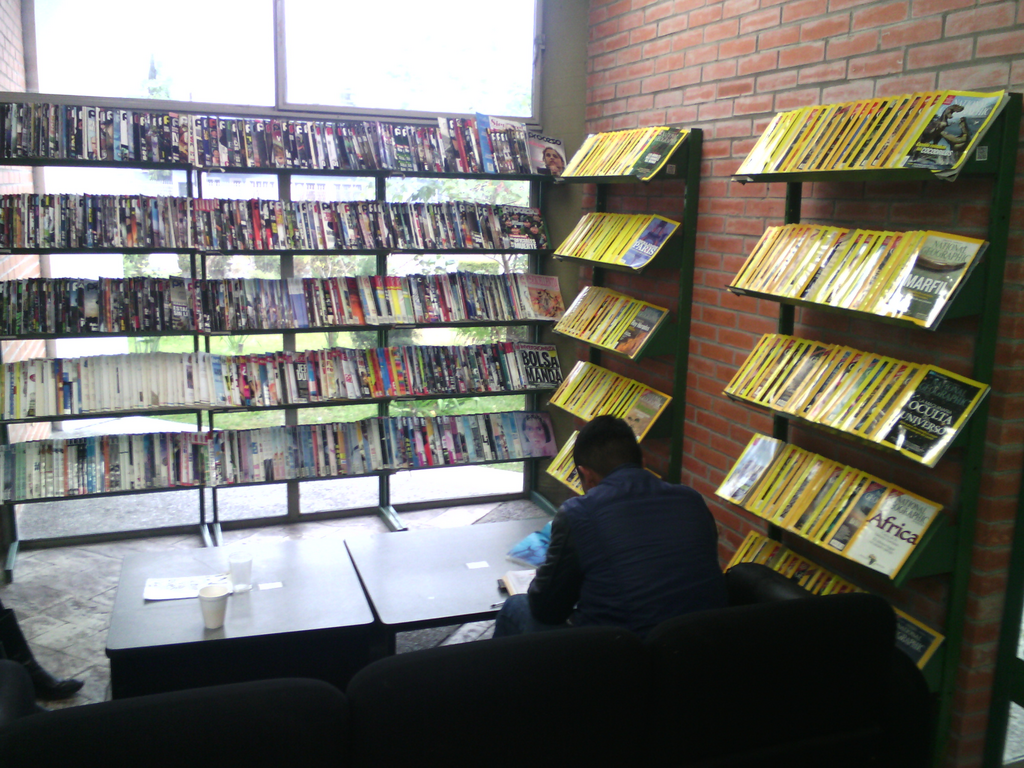 imagen3
