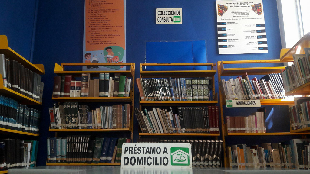 imagen1