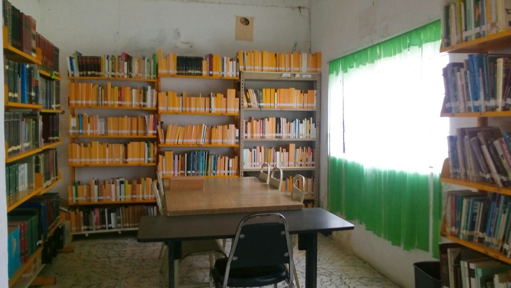 imagen2