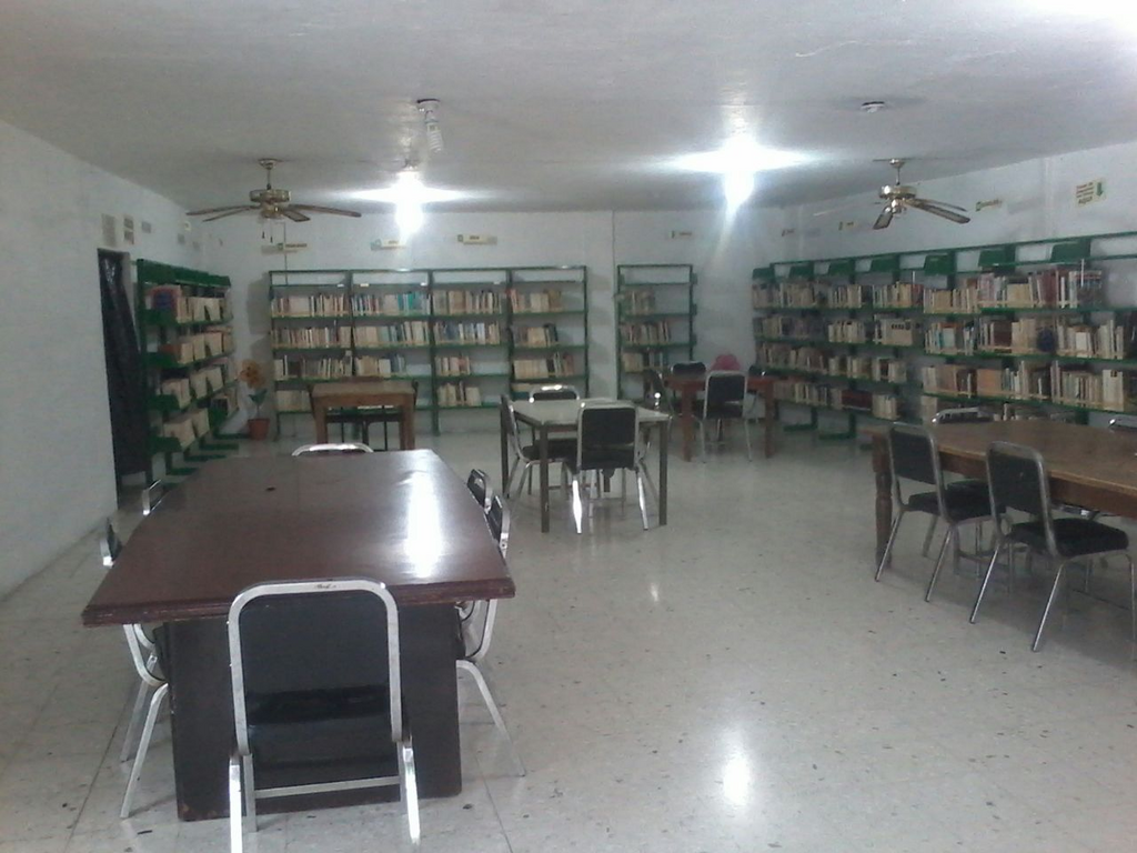 imagen1