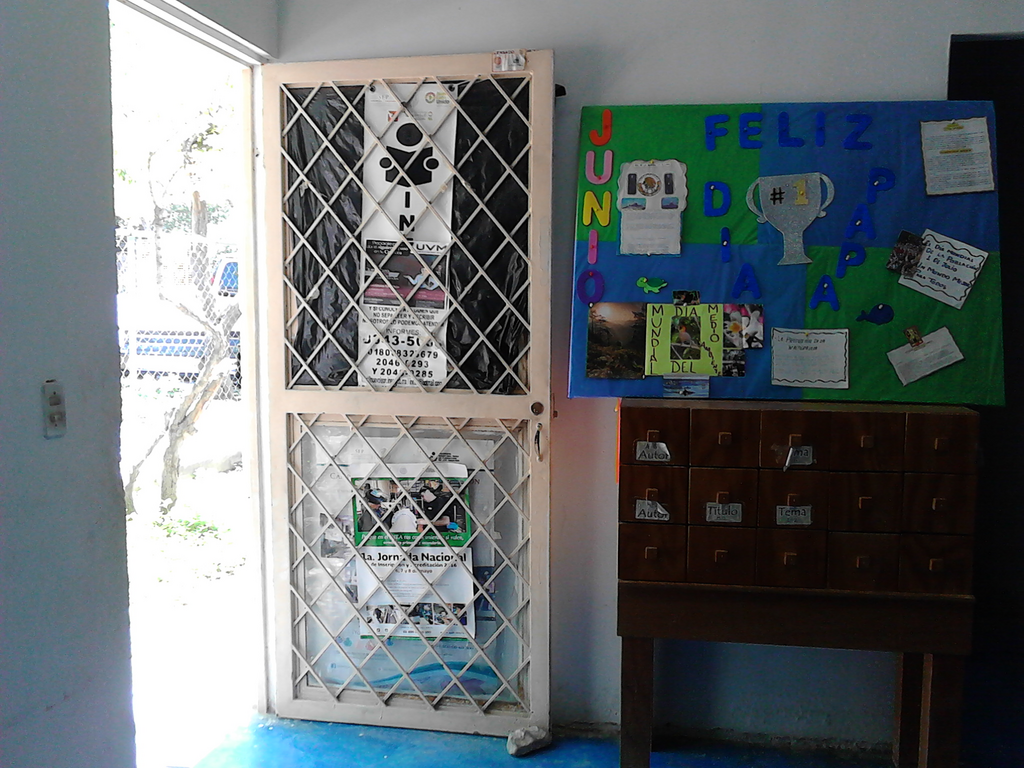imagen1