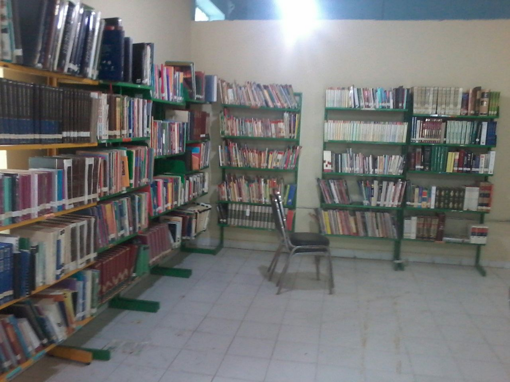 imagen1
