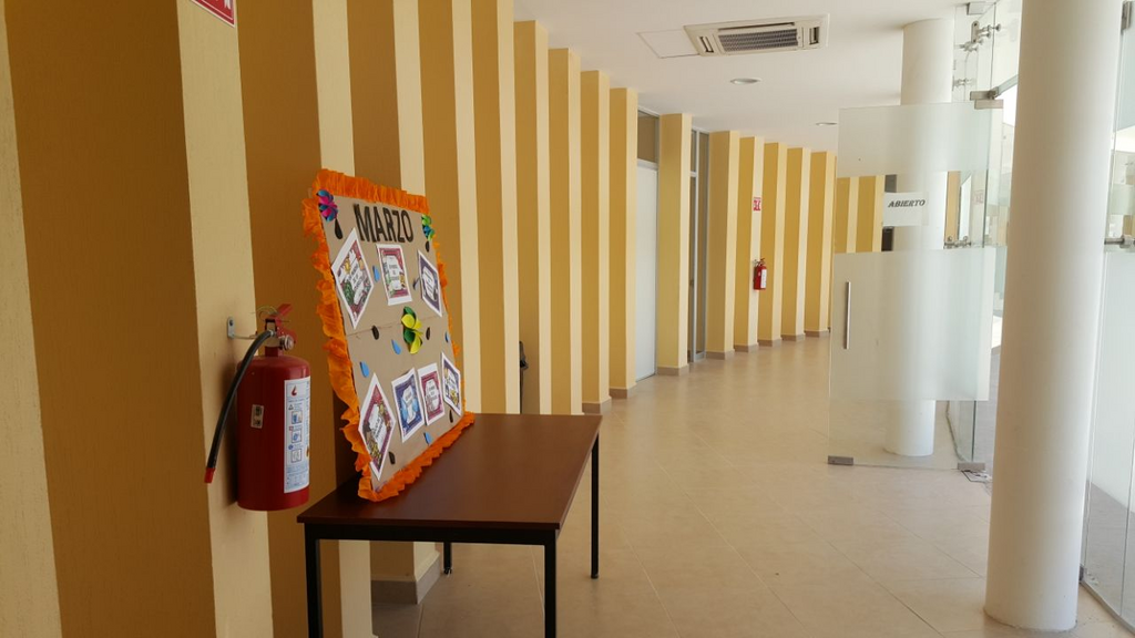 imagen2