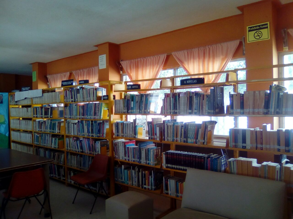 imagen1