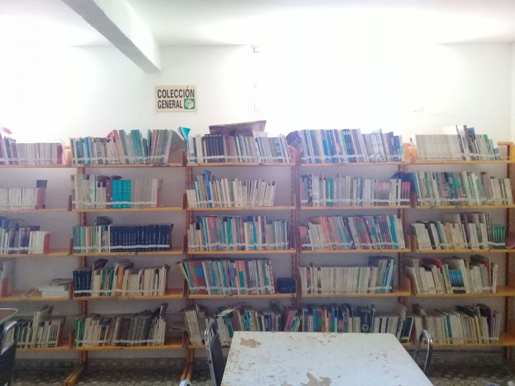 imagen3