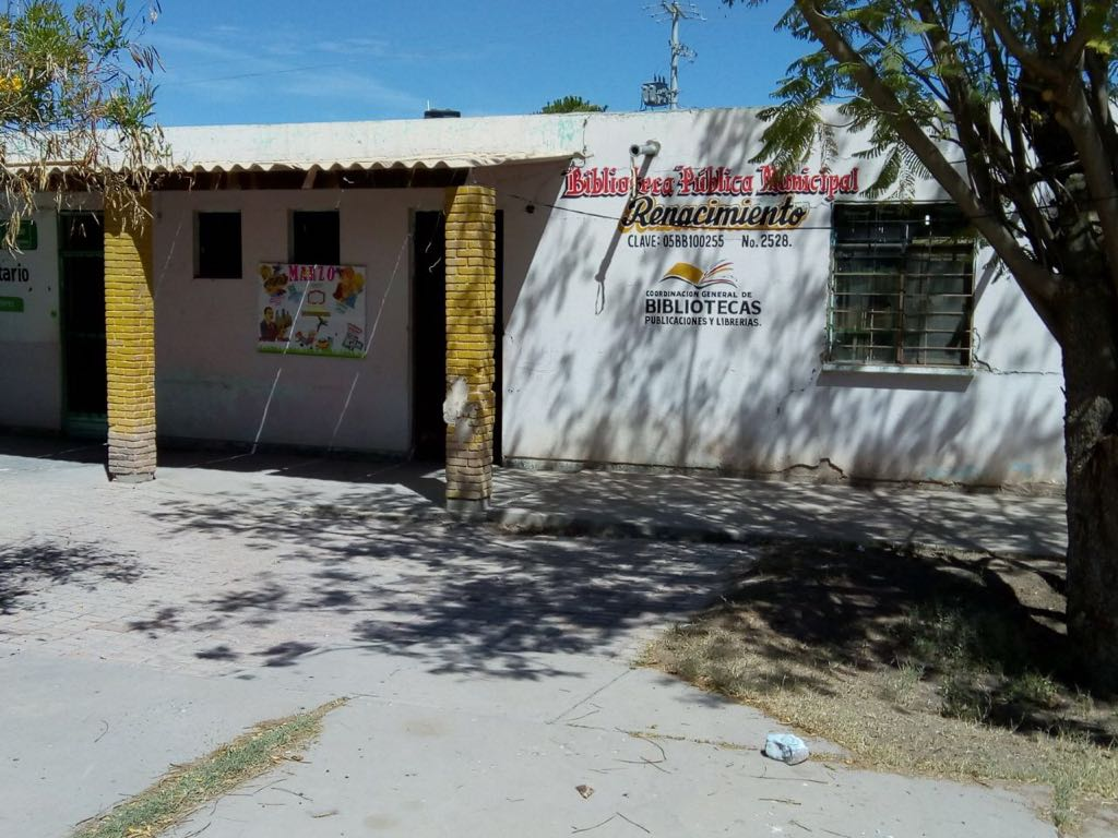 imagen1