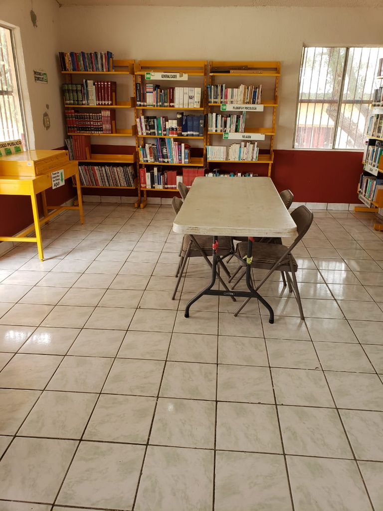 imagen1