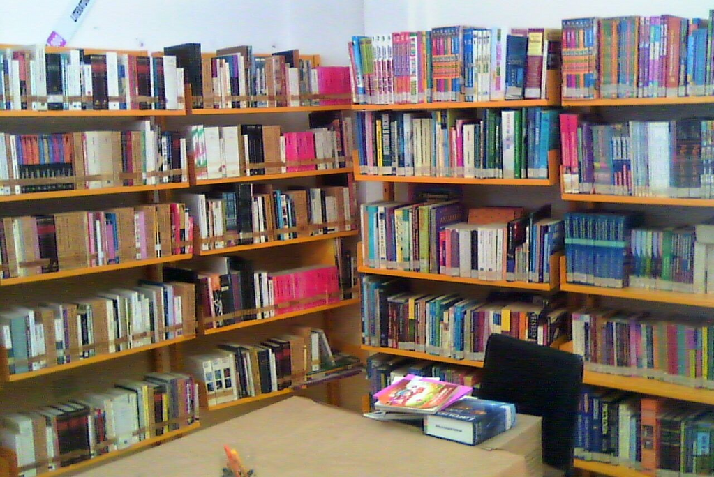 imagen2