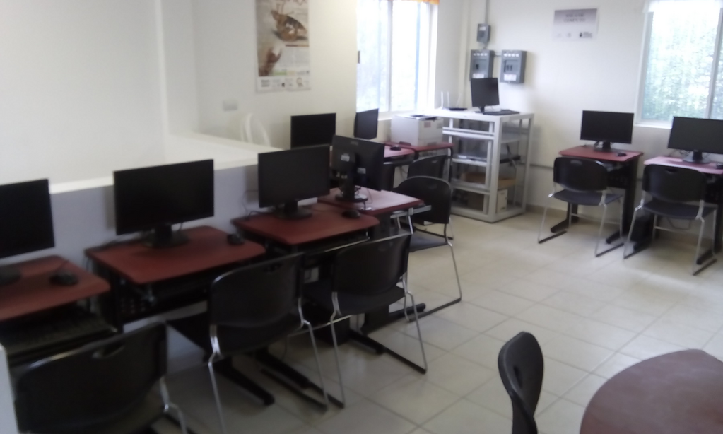 imagen2