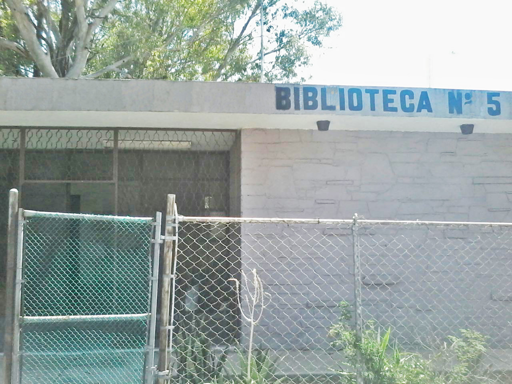 imagen1