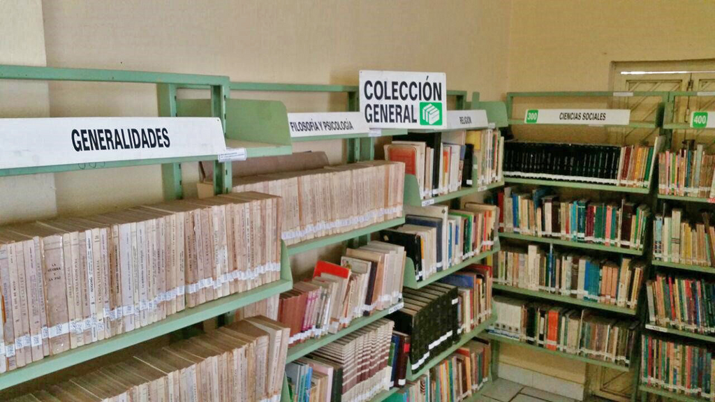 imagen1