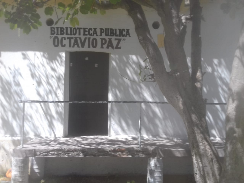 imagen2