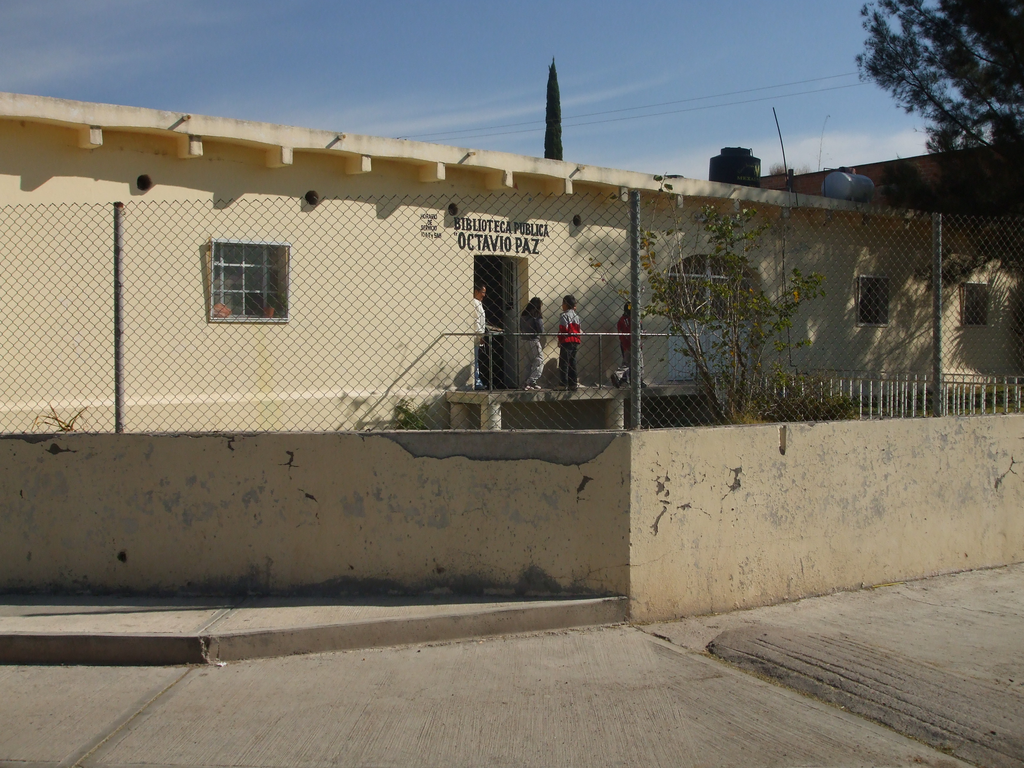 imagen1